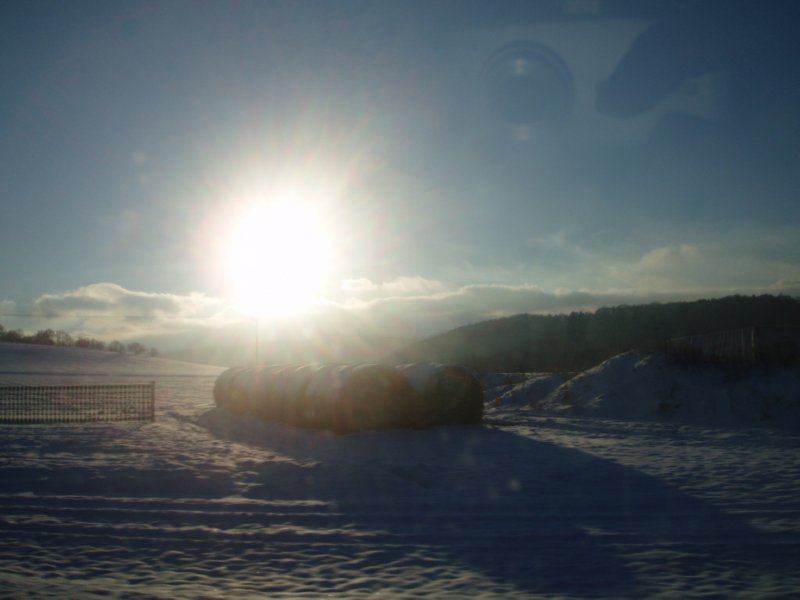 silvester_06 - 006